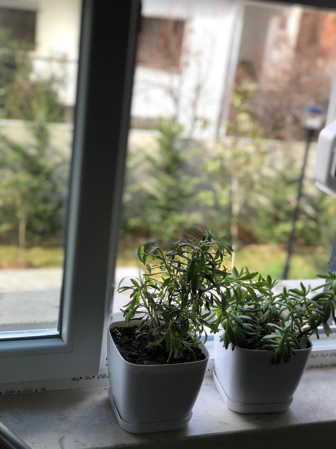 Jon's Duplex Apartman Tirana